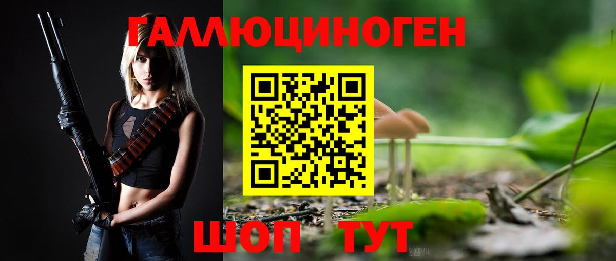 Галлюциногенные грибы MAGIC MUSHROOMS  Вход с VPN  Тихорецк 