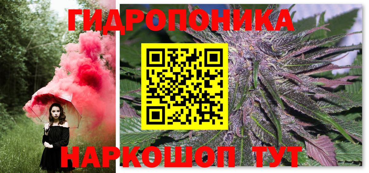 Тихорецк  Бошки марихуана Bruce Banner  Вход с VPN  Бошки марихуана ГИДРОПОН 
